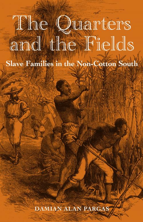 Cover of the book The Quarters and the Fields by Damian Alan Pargas, University Press of Florida