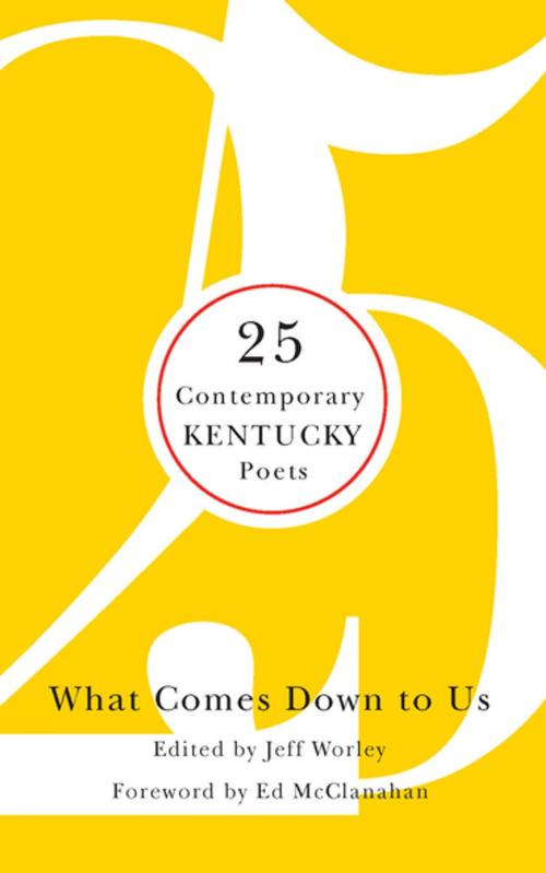 Cover of the book What Comes Down to Us by , The University Press of Kentucky