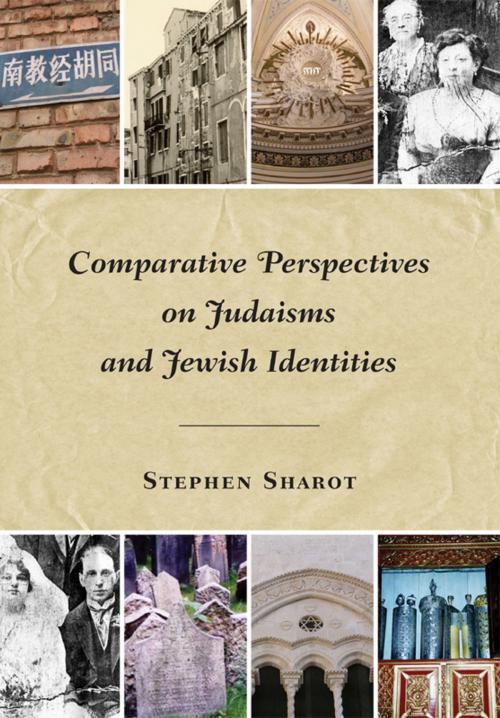 Cover of the book Comparative Perspectives on Judaisms and Jewish Identities by Stephen Sharot, Wayne State University Press
