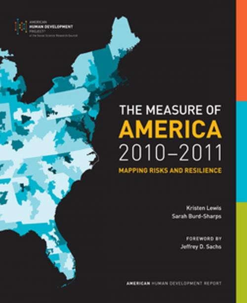 Cover of the book The Measure of America, 2010-2011 by Kristen Lewis, Sarah Burd-Sharps, NYU Press