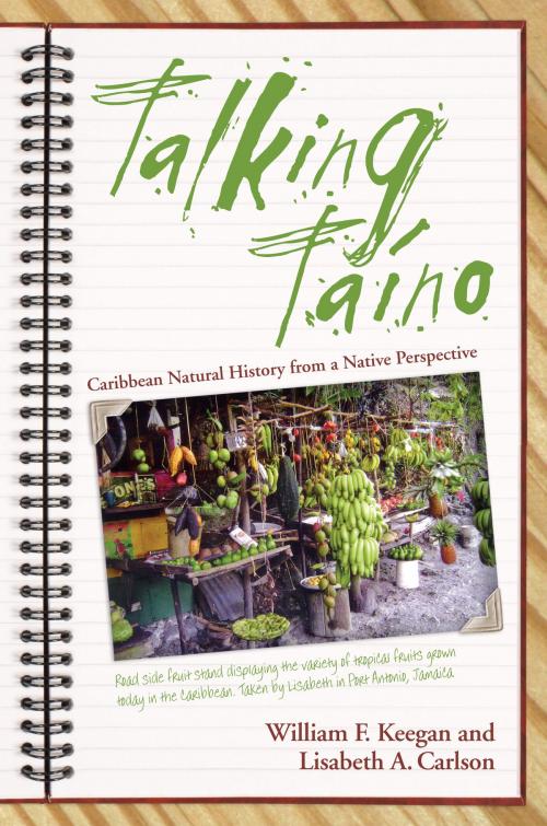Cover of the book Talking Taino by William F. Keegan, Lisabeth A. Carlson, University of Alabama Press