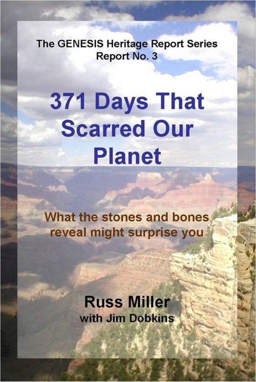 Cover of the book 371 Days That Scarred Our Planet by Russ Miller, UCS PRESS