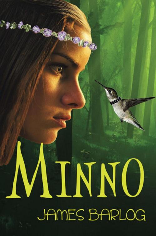 Cover of the book Minno by James Barlog, BAK Books