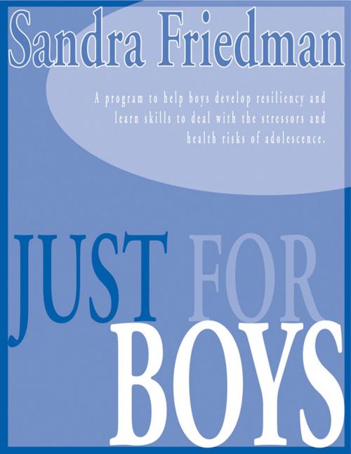 Cover of the book Just For Boys by Sandra Susan Friedman, Sandra Susan Friedman