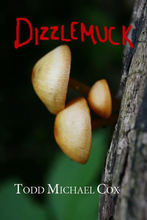 Cover of the book Dizzlemuck by Todd Michael Cox, Todd Michael Cox