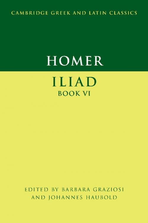 Cover of the book Homer: Iliad Book VI by , Cambridge University Press