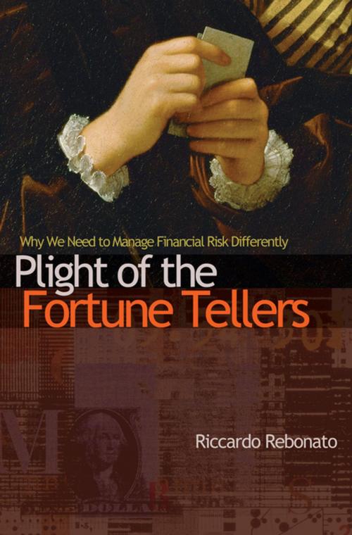 Cover of the book Plight of the Fortune Tellers by Riccardo Rebonato, Princeton University Press