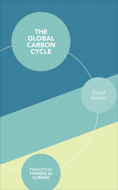 Cover of the book The Global Carbon Cycle by David Archer, Princeton University Press