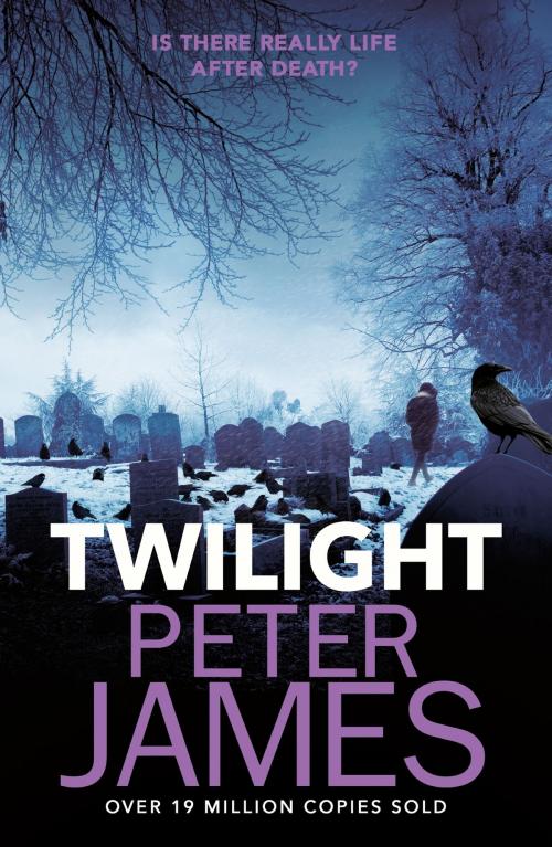 Cover of the book Twilight by Peter James, Orion Publishing Group