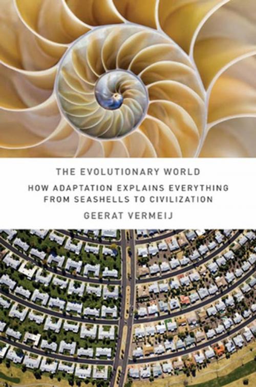 Cover of the book The Evolutionary World by Geerat J. Vermeij, St. Martin's Press