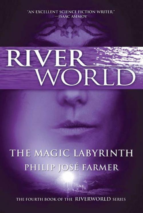 Cover of the book The Magic Labyrinth by Philip Jose Farmer, Tom Doherty Associates