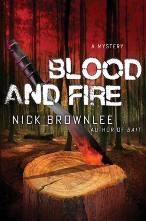 Cover of the book Blood and Fire by Nick Brownlee, St. Martin's Press