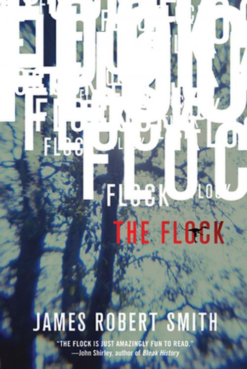 Cover of the book The Flock by James Robert Smith, Tom Doherty Associates