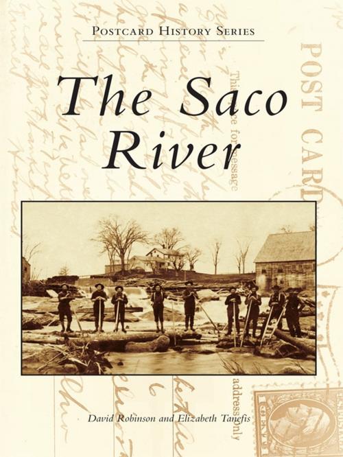 Cover of the book The Saco River by David Robinson, Elizabeth Tanefis, Arcadia Publishing Inc.