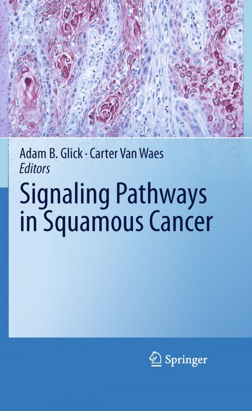 Cover of the book Signaling Pathways in Squamous Cancer by , Springer New York