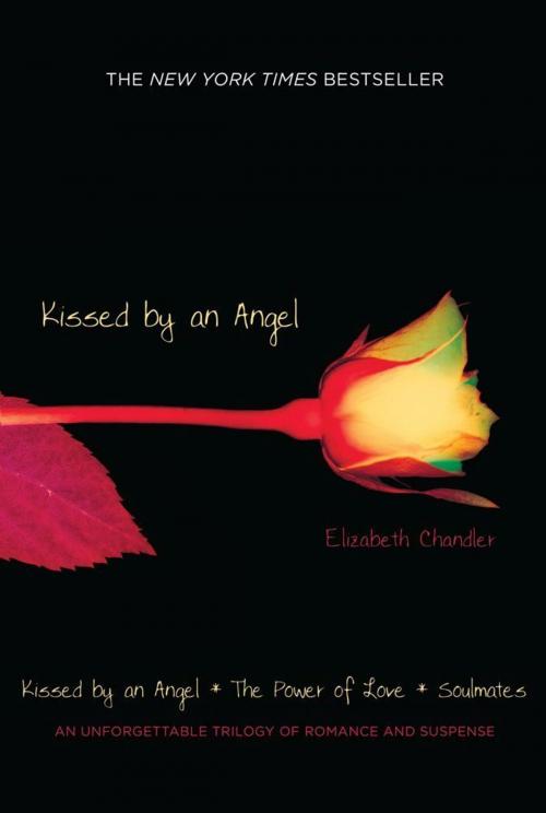 Cover of the book Kissed By an Angel Book 1 by Elizabeth Chandler, Simon Pulse