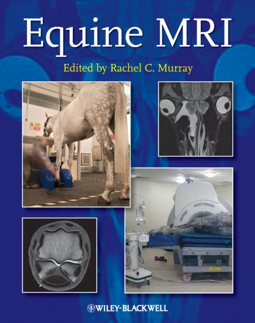Cover of the book Equine MRI by , Wiley