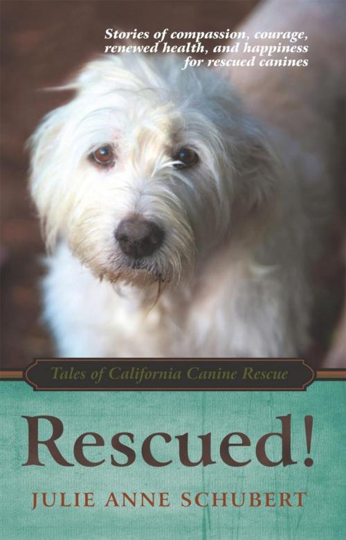Cover of the book Rescued! by Julie Anne Schubert, iUniverse