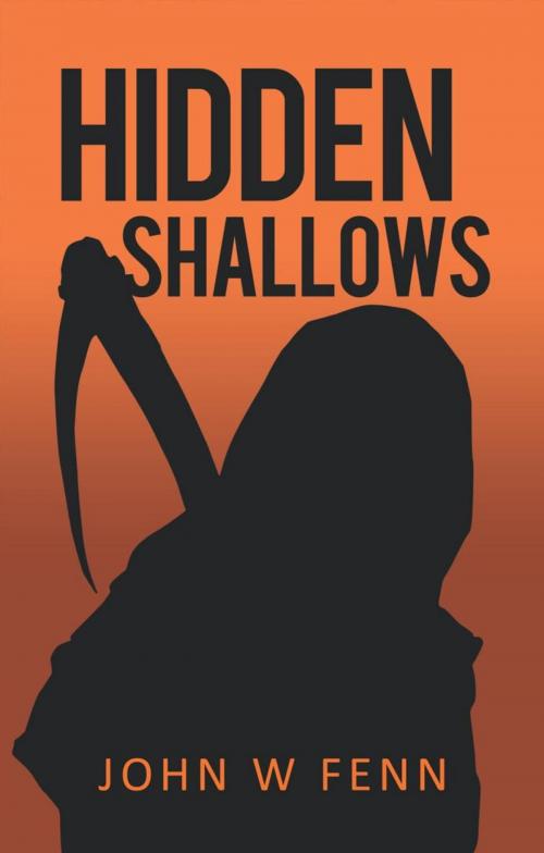 Cover of the book Hidden Shallows by John W. Fenn, iUniverse