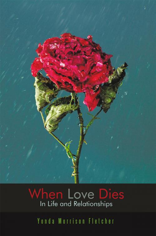 Cover of the book When Love Dies by Yonda Morrison Fletcher, AuthorHouse