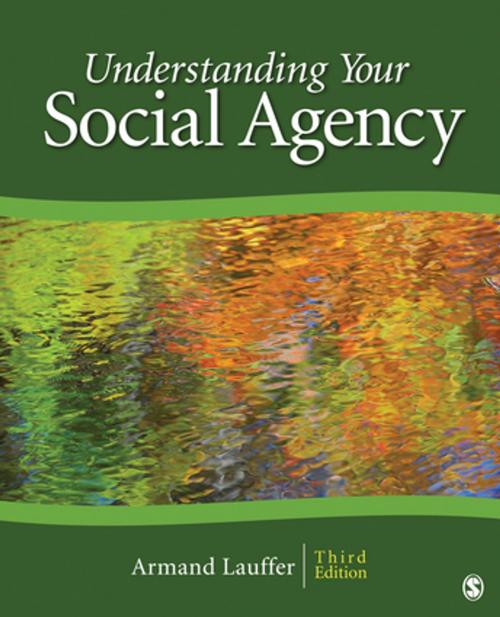 Cover of the book Understanding Your Social Agency by Dr. Armand Lauffer, SAGE Publications