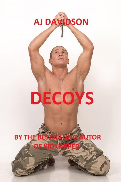 Cover of the book Decoys by A. J. Davidson, A. J. Davidson