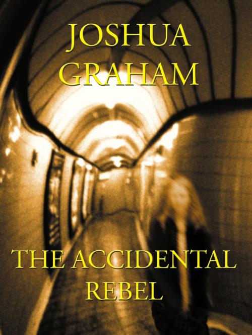 Cover of the book The Accidental Rebel by Joshua Graham, Dawn Treader Press