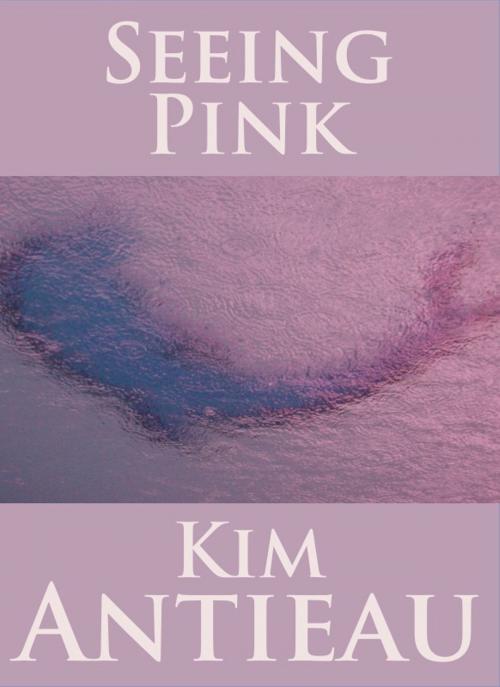 Cover of the book Seeing Pink by Kim Antieau, Green Snake Publishing