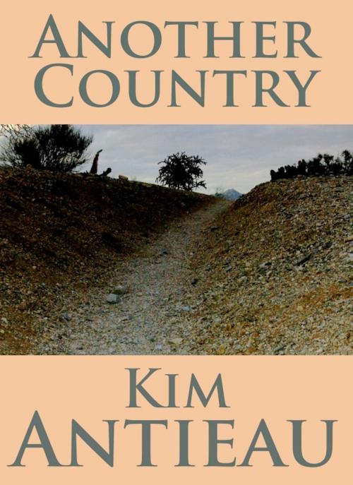 Cover of the book Another Country by Kim Antieau, Green Snake Publishing