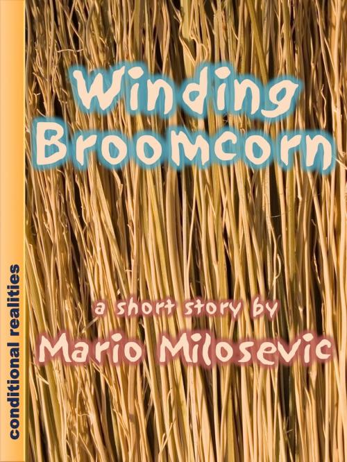 Cover of the book Winding Broomcorn by Mario Milosevic, Green Snake Publishing
