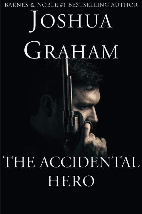 Cover of the book The Accidental Hero by Joshua Graham, Dawn Treader Press