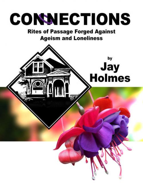 Cover of the book Connections by Jay Holmes, Jay Holmes