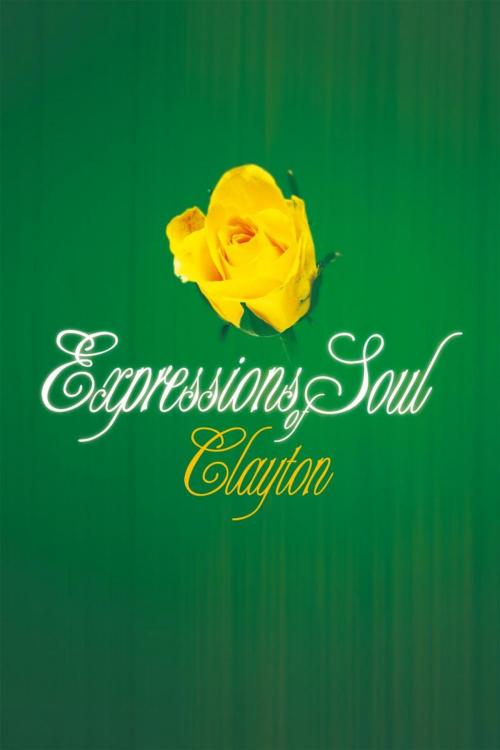 Cover of the book Expressions of Soul by Clayton, Balboa Press