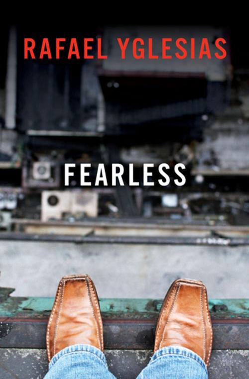 Cover of the book Fearless by Rafael Yglesias, Open Road