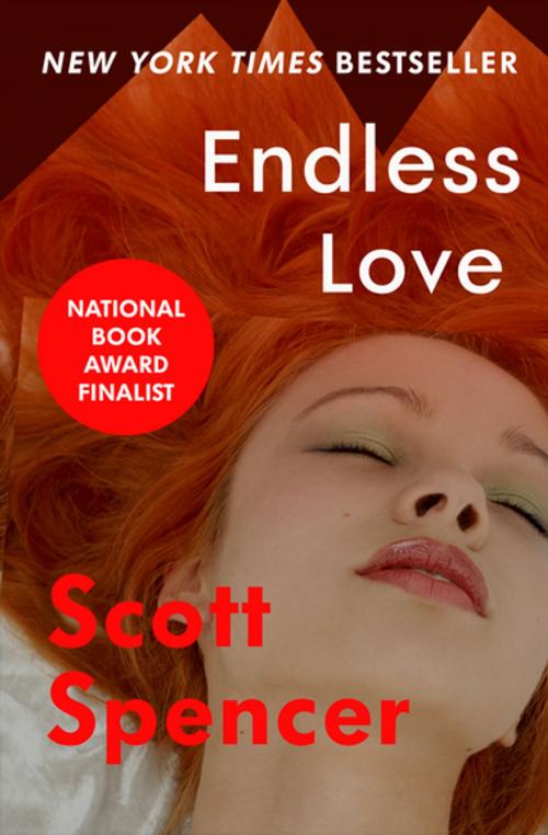 Cover of the book Endless Love by Scott Spencer, Open Road