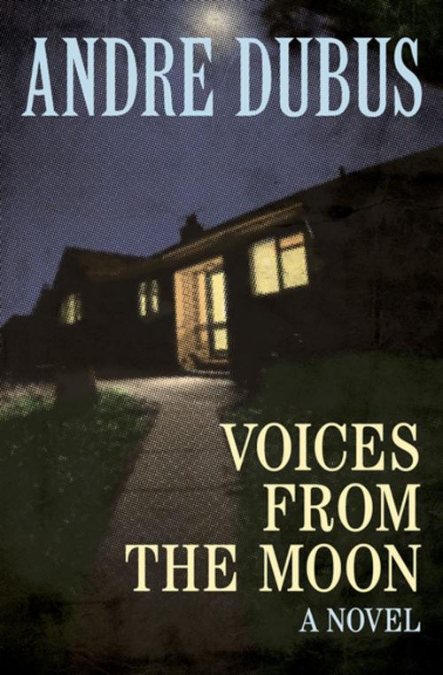 Cover of the book Voices from the Moon by Andre Dubus, Open Road Media