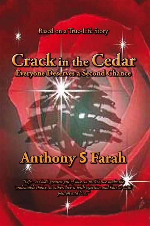 Cover of the book Crack in the Cedar by Anthony S Farah, Xlibris UK