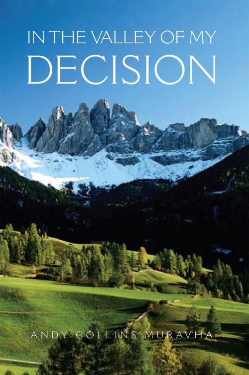 Cover of the book In the Valley of My Decision by Andy Collins Muravha, Xlibris UK