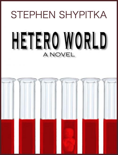 Cover of the book Hetero World by Stephen Shypitka, Stephen Shypitka