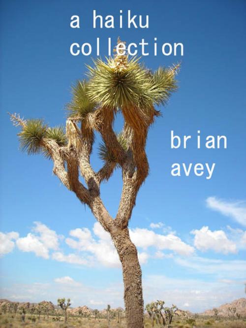 Cover of the book A Haiku Collection by Brian Avey, Brian Avey