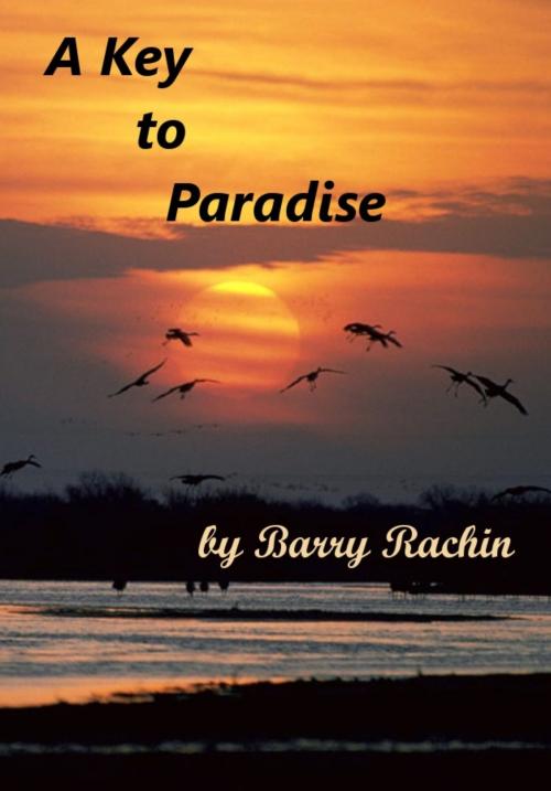 Cover of the book A Key to Paradise by Barry Rachin, Barry Rachin