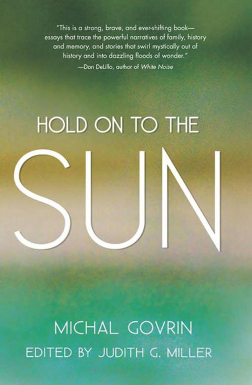 Cover of the book Hold on to the Sun by Michal Govrin, The Feminist Press at CUNY