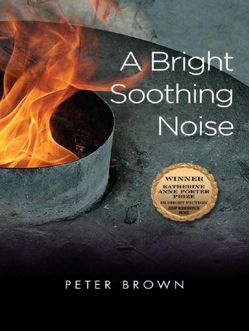 Cover of the book A Bright Soothing Noise by Peter Brown, University of North Texas Press