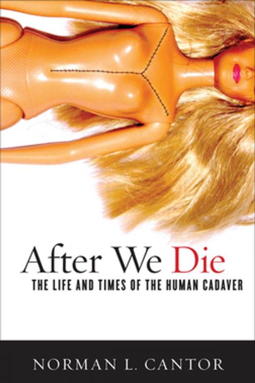 Cover of the book After We Die by Norman L. Cantor, Georgetown University Press