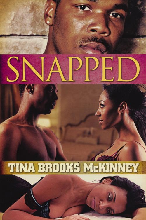 Cover of the book Snapped by Tina Brooks McKinney, Urban Books