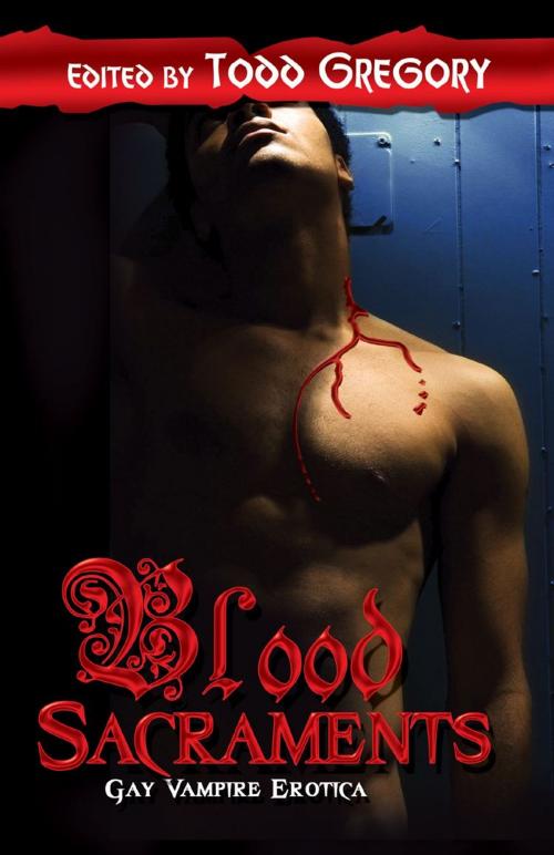 Cover of the book Blood Sacraments by , Bold Strokes Books