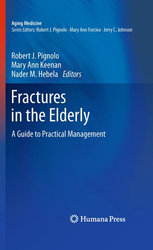 Cover of the book Fractures in the Elderly by , Humana Press