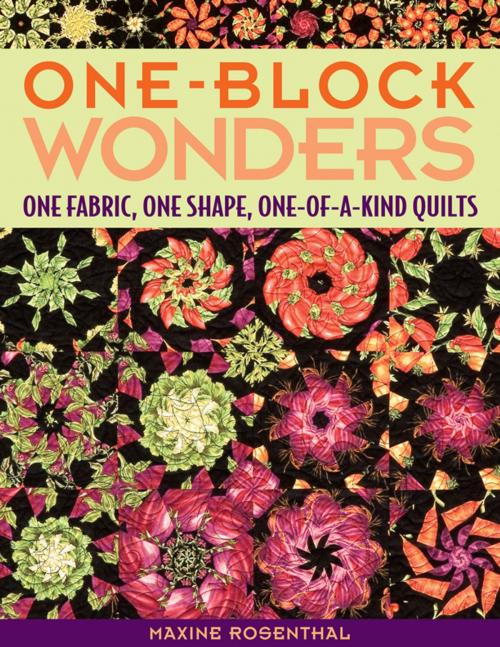 Cover of the book One Block Wonders by Maxine Rosenthal, C&T Publishing