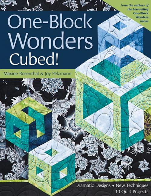 Cover of the book One-Block Wonders Cubed! by Maxine Rosenthal, Joy Pelzmann, C&T Publishing