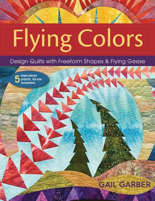 Cover of the book Flying Colors by Gail Garber, C&T Publishing